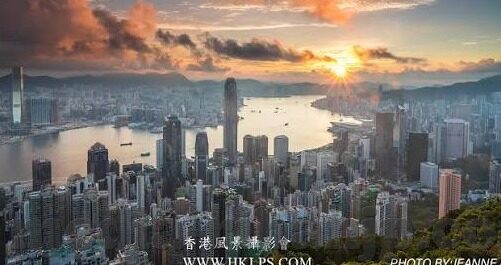 成人网电影视频小说-成人娱乐内容，网络文化中的灰色地带与影响