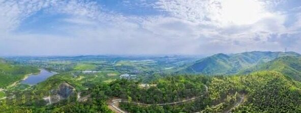 麻豆A片官网免费视频-